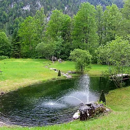 Bergkristall Wildalpen