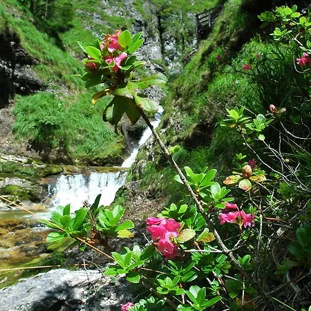 Отель Bergkristall Вильдальпен