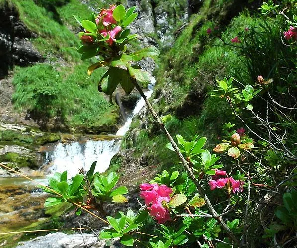 Hotel Bergkristall Wildalpen